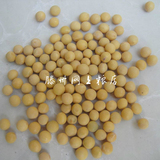 包邮黄豆新货 黑龙江有机大豆 非转基因黄豆500g发豆芽 磨豆浆