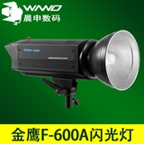 金鹰F600A影室闪光灯600W专业摄影棚灯光高端产品商业拍摄高稳定