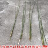 4本3.6米鱼竿材料 茶秆竹 厘竹 竹鱼竿 DIY友竹农民发货产地直销