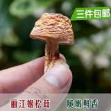云南土特产食用菌干货农家姬松茸菌菇巴西蘑菇特价100g三件包邮邮