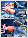喜帝仿真海洋模型玩具关节可活动海豚鲨鱼章鱼鱿鱼海龟海洋大全