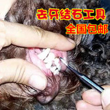 【包邮】狗牙齿结石工具 清洁牙垢 剔除牙结石 牙垢洁牙器1支洗牙