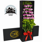 上海康乃馨鲜花礼盒速递母亲节三八节送妈妈长辈生日礼物全国包邮