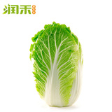 【润禾原生态】新鲜大白菜3斤装农家自产天然有机大白菜新鲜蔬菜