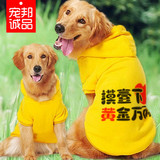 大狗个性衣服 大型犬宠物服装春夏 大金毛松狮哈士奇狗宠物文字衫