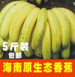 香蕉 海南香蕉 新鲜水果 海南特产水果有机食品 纯天然绿色食品蕉