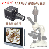 睿鸿CCD显微镜电子目镜 接电视机电脑水产养殖精子分析专业摄像头