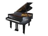 全新原装正品帝王钢琴 EG-186A 超低价批发胜珠江、星海