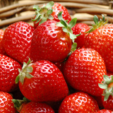 四盒顺丰包邮~新鲜草莓 奶油草莓 红颜冬季有机草莓（350g/盒）