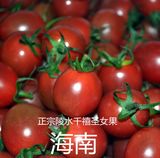 [乡村田园】新鲜水果 樱桃小番茄 正宗海南千禧圣女果