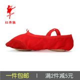 红舞鞋皮头练功鞋男女猫爪鞋儿童舞蹈鞋成人软底瑜伽芭蕾舞鞋1001