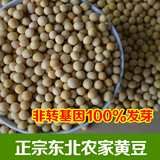 东北黑龙江五常有机黄豆2015农家自产黄豆非转基因大豆500g满包邮