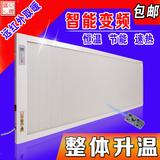 暖煌壁挂省电暖气片变频恒温电热板墙暖碳纤维取暖器碳晶暖风机