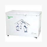 Ronshen/容声 BD/BC-310升冷柜大容量冷藏冷冻卧式容声冰柜 正品