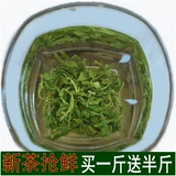 绿茶 茶叶 散装日照绿茶纯天然 2016新茶 春茶雪青特价包邮500g
