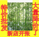 仿真竹子环保镀膜客厅装饰加密假竹子隔断屏风绿植批发塑料植物