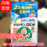 杀虫药 日本进口 家庭园艺专用 多肉植物  杀虫剂 DX粒剂 小白药