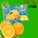 云南大理宾川脐橙纽荷尔 手剥甜橙冰糖橙子农家特产新鲜水果 包邮