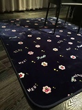 韩国胡萝卜小姐地垫 毯子爬行垫飘窗客厅垫子水貂绒毯子瑜伽地毯