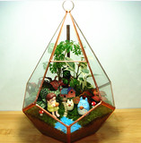 苔藓微景观玻璃生态瓶创意盆栽 迷你办公室植物 节日礼物龙猫摆件