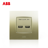 瑞士ABB 开关插座 由艺香槟金双口USB充电插座AU29344-PGPG