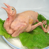 果果生鲜 鲜冻乳童鸽青年鸽 白条鸽 鸽子肉（每只300g）三只包邮