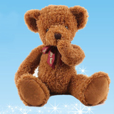 泰迪熊公仔长毛绒玩具生日礼物女生闺蜜抱抱熊小号熊包邮