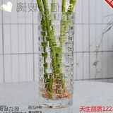 包邮 水晶透明玻璃花瓶特大号富贵竹百合花水培仿真干花直筒花瓶