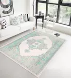 土耳其进口地毯客厅 欧美式地毯 沙发茶几地毯 现代简约小清新毯