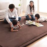 现代简约珊瑚绒面 日式地毯榻榻米床垫子 卧室客厅 加厚地垫