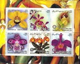 索马里：2003，植物花卉，兰花，外国邮票小型张1全新