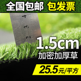 加密人工草坪塑料草坪假草皮人造草坪仿真草坪地毯户外15mm