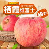 正宗烟台苹果水果山东栖霞红富士苹果新鲜水果苹果包邮10斤