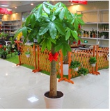 热卖发财树大型绿植盆栽客厅净化空气乔迁开业礼物长沙同城速递