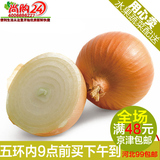 尚购24蔬果 优质新鲜蔬菜洋葱头 黄皮洋葱500克 北京同城蔬菜配送