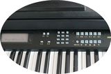 全新正品永美YM7100电钢琴61键教学成人电子琴幼儿园教学琴包邮