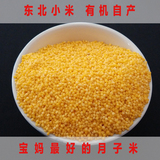 2015年东北特产农家新小米黑龙江有机孕妇月子米非转基因小黄米