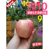2016 新品苹果 新鲜 水果农家冰糖心红富士苹果9斤包邮