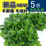 仿真绿萝叶常青藤壁挂绿植藤蔓假花爬山虎空调下水管道藤条装饰