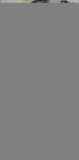 【大雅堂】纯手绘 写意三尺中堂花鸟国画客厅字画/免费题字/葡萄A