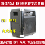 电吹管电萨克斯EWI4000S AKAIewi5000雅佳公园8专用乐器音箱 多功
