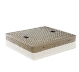 床垫 弹簧床垫 1.5 1.8米 双人棕垫硬椰棕两用 床垫 现代简约