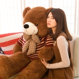 熊熊毛绒玩具Teddy Bear/泰迪熊抱枕PP棉女毛绒布艺类玩具