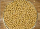 15年新黄豆东北黑龙江特产笨黄豆农家自种非转基因豆浆发豆芽500g