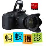 【朂低价单反】蚂蚁摄影单反数码相机Canon/佳能 EOS1200D联保