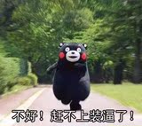 KUMAMO熊本熊充电宝一件代发卡通毛绒公仔移动电源通用呆萌帝黑熊