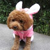 VYRZG宠物狗狗猫咪衣服 粉色可爱兔耳朵  猫咪泰迪小鹿犬茶杯犬衣