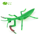 仿真螳螂模型塑胶野生昆虫多足动物玩具刀螂祷告虫假螳螂拍摄道具