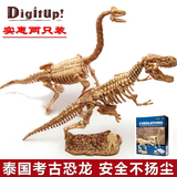 泰国进口考古恐龙玩具 儿童手工拼装化石挖掘 仿真霸王龙骨架模型