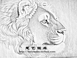 狮子白描动物花鸟画工笔画底稿线描稿电子版国画素材类猛兽58